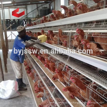 Chicken Cage For Poultry Farm With 96/120/128/160 Birds Capacity